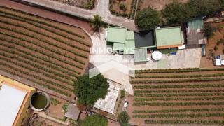 Terrain rsidentiel  Las parras. Finca de 3000 m2 con vivienda en pino alto, la orotava
