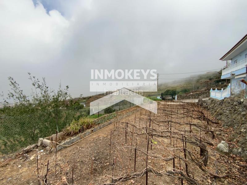 Foto 24caeb23-995f-4f50-a53f-03b65edb1795. House in Palo Blanco Realejos (Los)