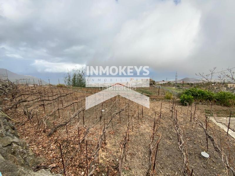 Foto 42de641f-9d7a-4b36-ab0f-eb4c27f7f2e5. House in Palo Blanco Realejos (Los)