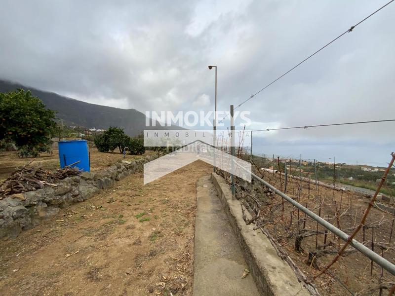 Foto bb13d49b-3174-4e7c-8137-5ea34e6d105f. House in Palo Blanco Realejos (Los)