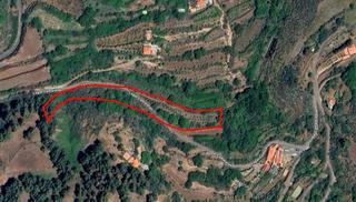Finca rústica a Vega de San Mateo. Se vende terreno agrícola en el corazón de gran canaria