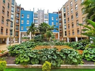Location Appartement à Avenida federico garcía lorca 4. ¡amplio piso en alquiler en la minilla, las palmas de gran canar
