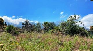 Finca rústica  Carretera san nicolás. Precioso terreno en la palma, en el paso, cerca de núcleo urbano