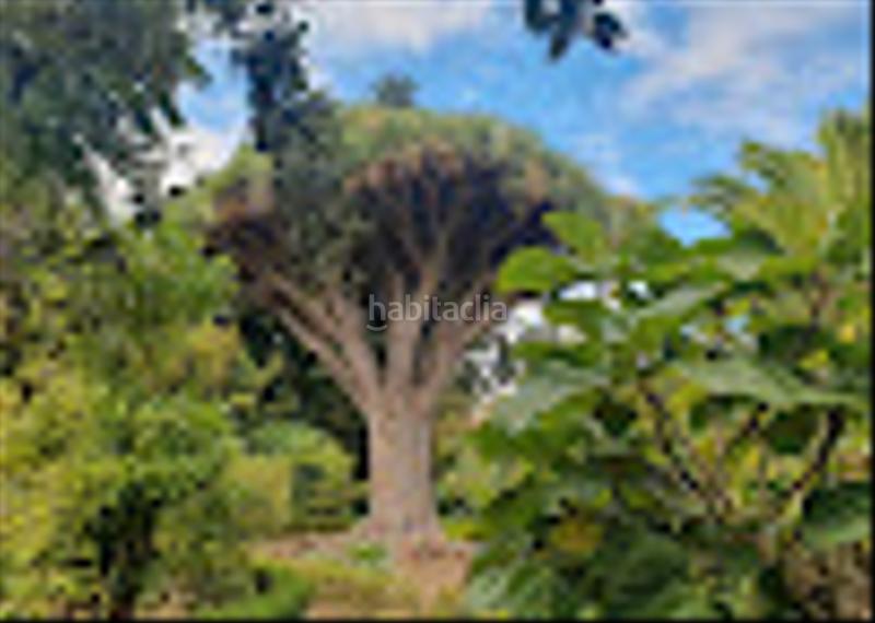 Foto 4bab3372-3eab-47fa-aa7e-3f861d2bfc48. Studio in calle mesa del mar 158 in Guayonje - Mesa del Mar Tacoronte