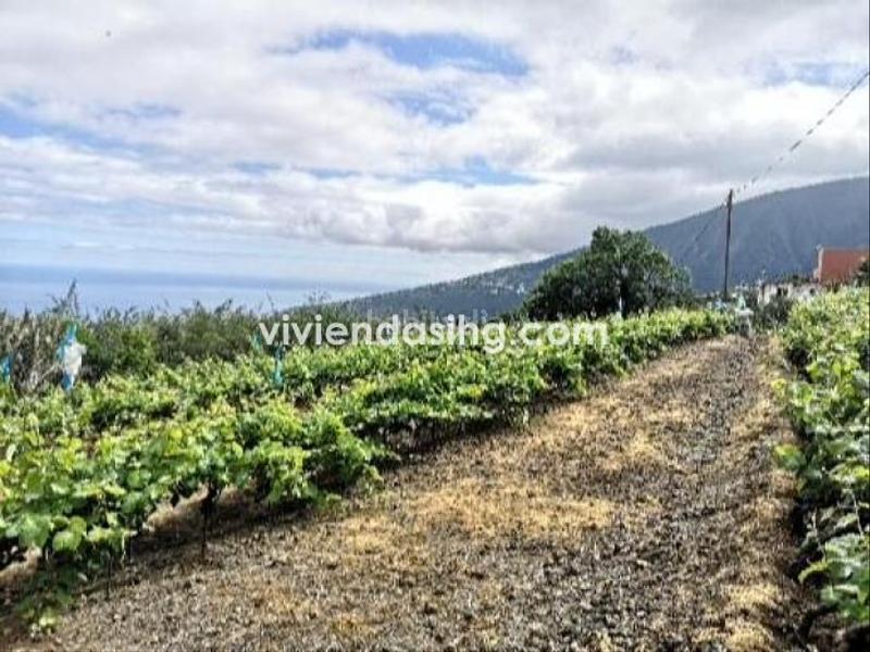 Foto 192739a5-32dc-4a84-ab24-f519cf636c0b. Casale con parcheggio in La Perdoma - San Antonio - Benijos Orotava (La)