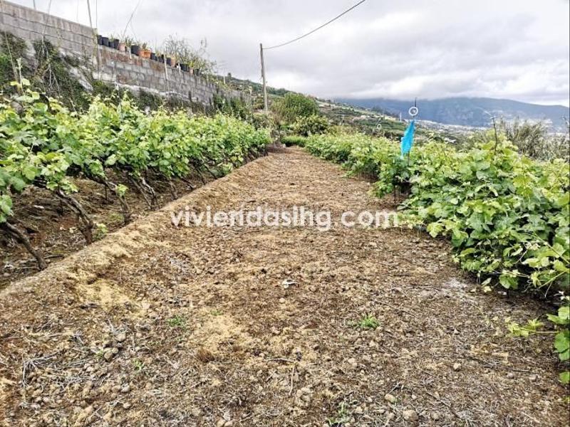 Foto 479627fd-8f66-4681-a0fd-b5e7c9303600. Casale con parcheggio in La Perdoma - San Antonio - Benijos Orotava (La)