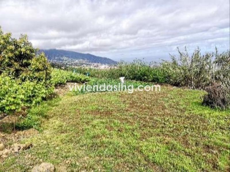 Foto 749003cd-6d31-4b37-872a-b73c1834ac5b. Casale con parcheggio in La Perdoma - San Antonio - Benijos Orotava (La)