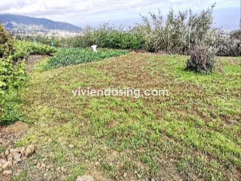 Foto 91cb8bbe-986a-4c2b-b64e-e33fd53face8. Casale con parcheggio in La Perdoma - San Antonio - Benijos Orotava (La)