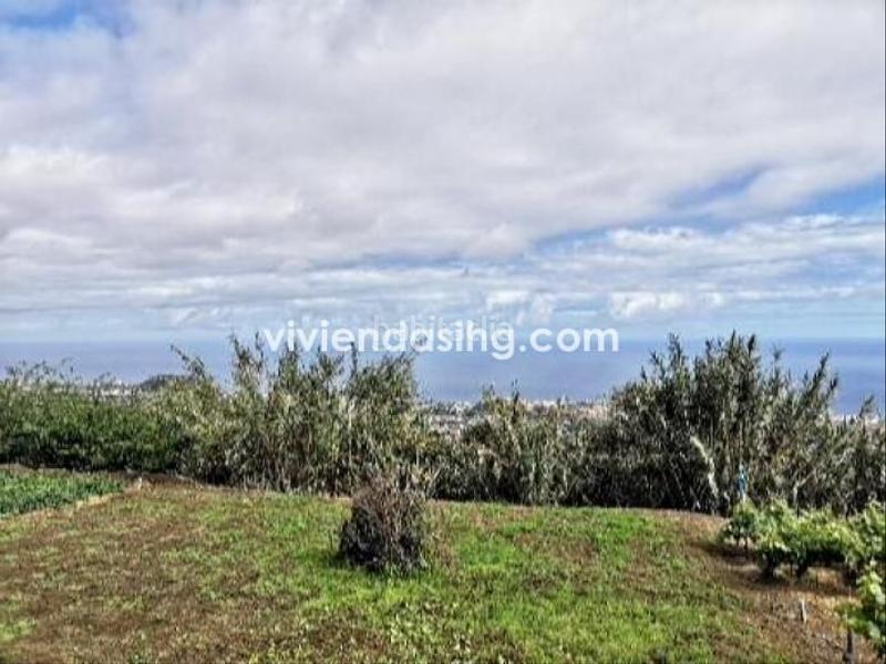 Foto 96cd84e1-cc63-48f9-9c8b-24a8f192efd3. Casale con parcheggio in La Perdoma - San Antonio - Benijos Orotava (La)