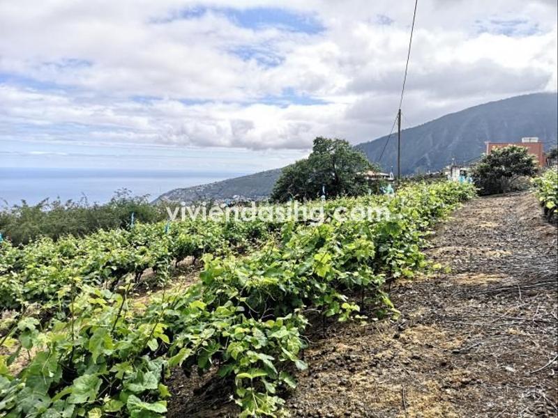 Foto c9a072ce-24f1-40a3-bdf9-133935499b4f. Casale con parcheggio in La Perdoma - San Antonio - Benijos Orotava (La)