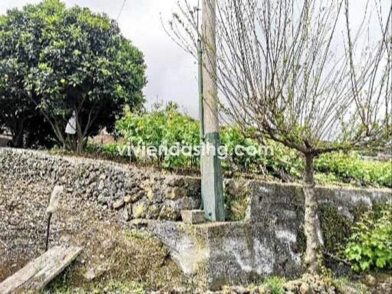 Foto e2c8aa24-781b-4747-80dd-b03e7e353f7e. Casale con parcheggio in La Perdoma - San Antonio - Benijos Orotava (La)