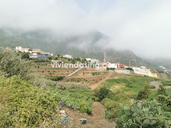 Foto b09f4ded-bc78-416a-b12e-1b8d55c7f9f2. Finca rústica a Palo Blanco Realejos (Los)