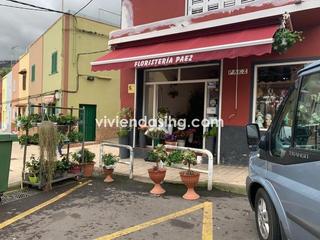 Lloguer Local Comercial a La Perdoma - San Antonio - Benijos