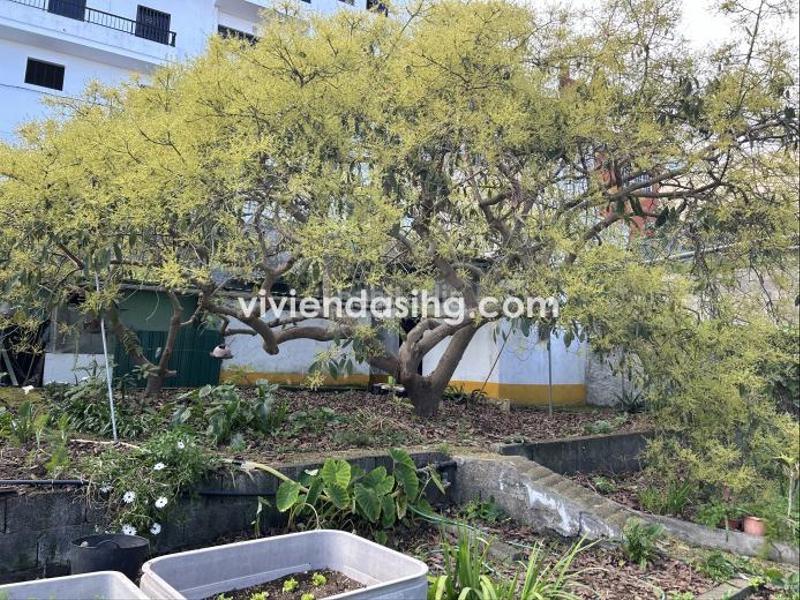 Foto bc30140b-dc0e-433c-9738-0ec6f5691e8e. Maison avec parking dans Cruz Santa Realejos (Los)