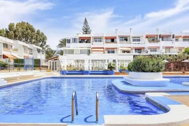 Foto c05c5a64-5d1c-4f60-8071-6433276eddd9. Studio dans avenida jose antonio tavio 11 dans Costa del Silencio Arona