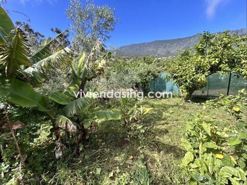 Foto 2bec72ae-46d3-403f-ac27-64867f3f267b. Casale in Palo Blanco Realejos (Los)
