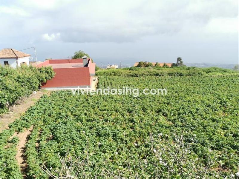 Foto afb2156f-94c1-4389-9db9-08b582edcc3f. Haus in La Perdoma - San Antonio - Benijos Orotava (La)