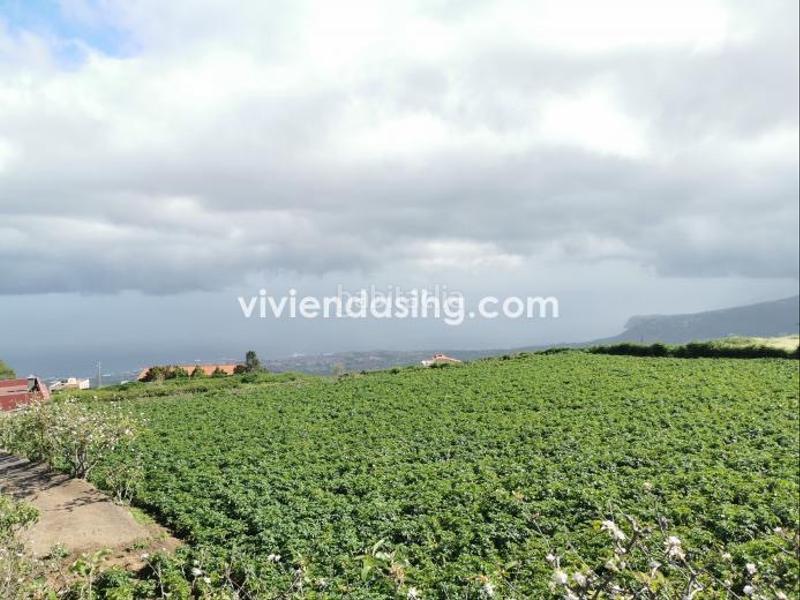 Foto 0406cb32-74b3-4654-8077-cbff307b9d5e. Maison dans La Perdoma - San Antonio - Benijos Orotava (La)