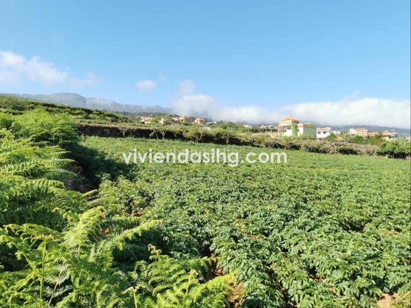 Foto 4ff55bf9-158d-4523-a0dc-f78f3cc6f61b. Maison dans La Perdoma - San Antonio - Benijos Orotava (La)