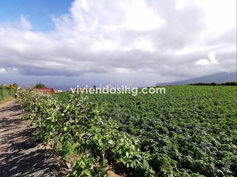 Foto 6e66a977-1978-4d77-93bd-1d3e8c50190e. Maison dans La Perdoma - San Antonio - Benijos Orotava (La)