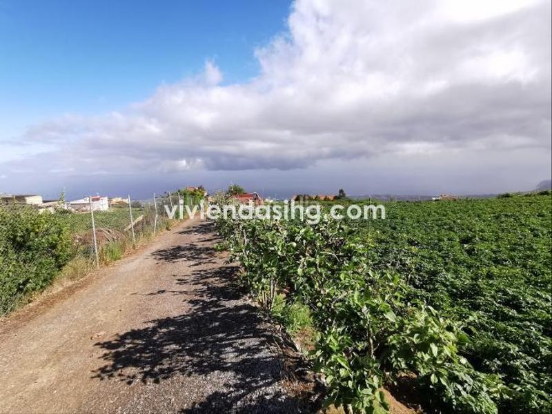 Foto 7236e6d4-61d8-45bb-b4f9-a14bdf18dc1b. Maison dans La Perdoma - San Antonio - Benijos Orotava (La)