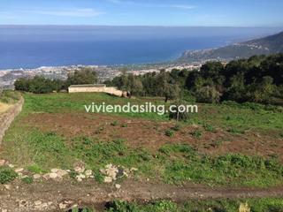 Rural plot in Camino las suertes i 9