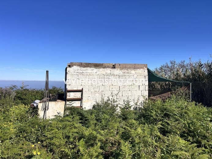 Foto 2109f0d9-41bd-4a97-b07d-e3423c136466. Finca rústica a Tacoronte - los naranjeros Tacoronte