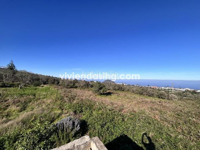 Foto 2660dfb6-a0d8-4d20-8dd8-bb1cb0af3f3e. Finca rústica a Tacoronte - los naranjeros Tacoronte