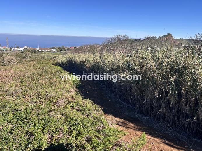 Foto 29b1104e-4e59-400b-9c79-1692874fff8d. Finca rústica a Tacoronte - los naranjeros Tacoronte