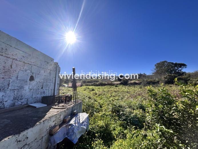 Foto 5a643c79-885b-456c-b264-38c995aa104a. Finca rústica a Tacoronte - los naranjeros Tacoronte