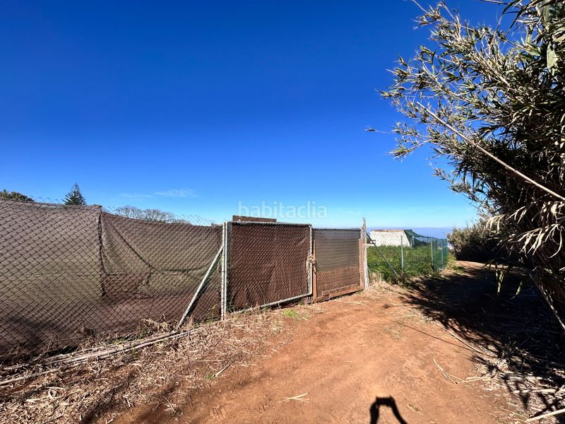 Foto 7085773b-25a3-4f5f-986f-a863f434011e. Finca rústica a Tacoronte - los naranjeros Tacoronte