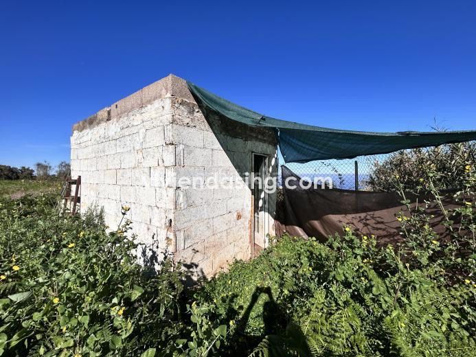 Foto 7a0672d5-aac2-400b-bf37-ac0219c140f0. Finca rústica a Tacoronte - los naranjeros Tacoronte