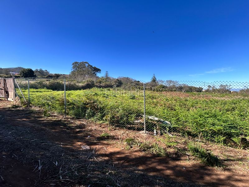 Foto 81856882-c6a8-4bca-9eee-dc6c69985564. Finca rústica a Tacoronte - los naranjeros Tacoronte