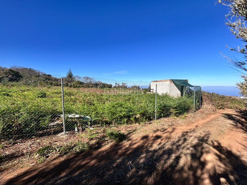 Foto 8aeed110-f913-4c79-9bd7-5624684f1e3a. Finca rústica a Tacoronte - los naranjeros Tacoronte