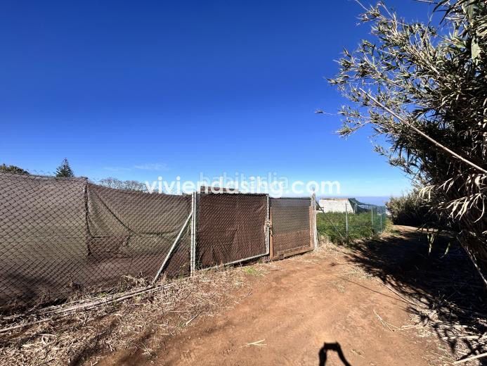 Foto 8d0c2177-6d03-415e-ac4b-0c3c3ff33c49. Finca rústica a Tacoronte - los naranjeros Tacoronte