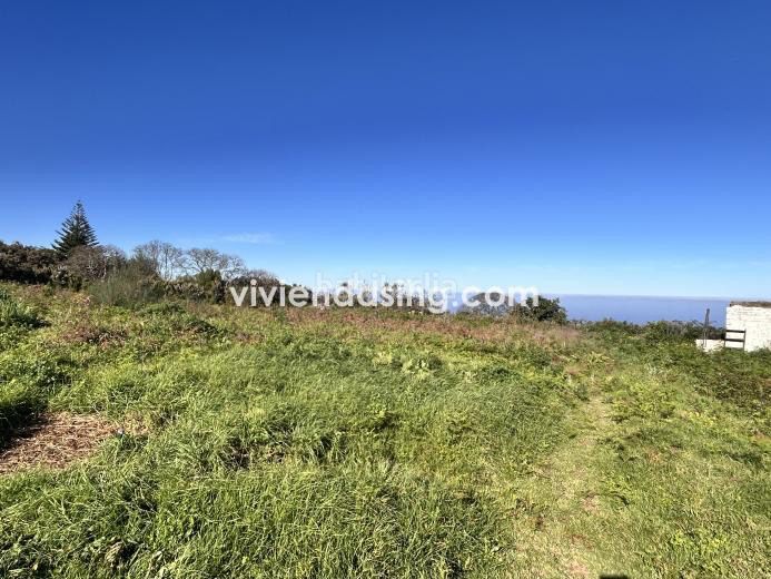 Foto 9b2667e8-0825-4ce4-92cb-a2d6e0499087. Finca rústica a Tacoronte - los naranjeros Tacoronte