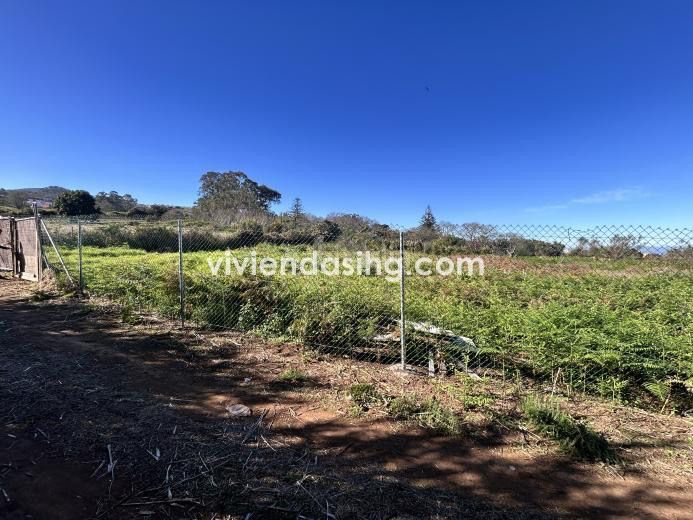 Foto a307cd54-c998-497c-b2ce-39a4f73bec8b. Finca rústica a Tacoronte - los naranjeros Tacoronte