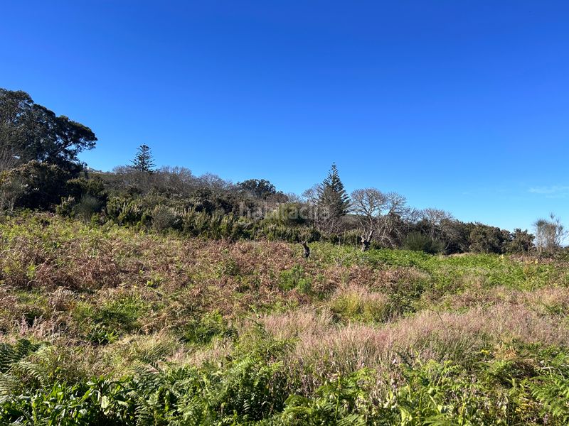 Foto bb90a053-f865-4313-a769-aca08bcfa542. Finca rústica a Tacoronte - los naranjeros Tacoronte