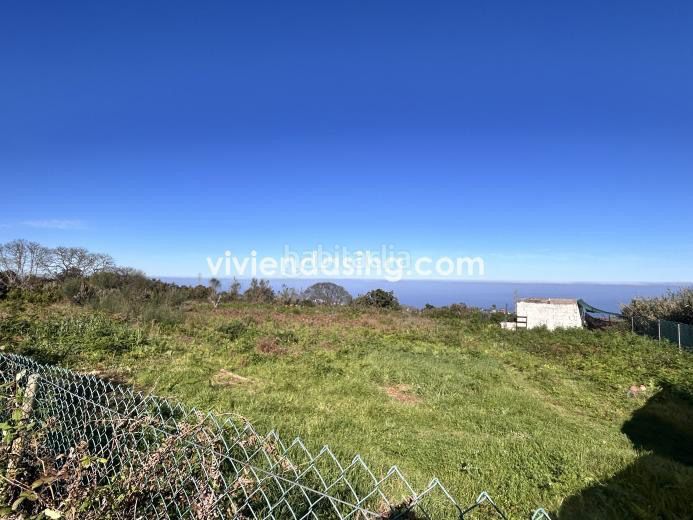 Foto be462dad-a354-4903-8a93-277624d0ff7a. Finca rústica a Tacoronte - los naranjeros Tacoronte