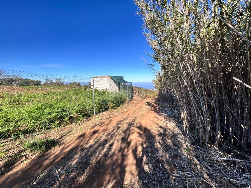 Foto bee289b0-bfff-4eef-8d1d-22975d873ef5. Finca rústica a Tacoronte - los naranjeros Tacoronte