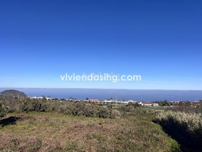 Foto c9aed10c-8ecb-46ee-993a-4ca57f277bc7. Finca rústica a Tacoronte - los naranjeros Tacoronte