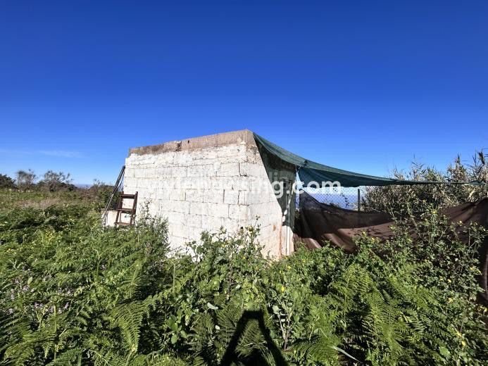 Foto d6d087e6-0a28-4577-89db-51468f8f6fa8. Finca rústica a Tacoronte - los naranjeros Tacoronte