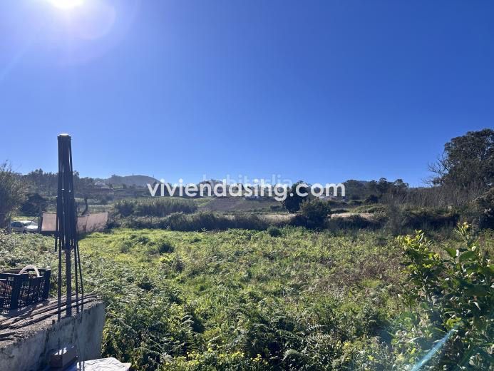 Foto e656e3e7-d5b1-4252-b24c-2b64b2bee8ef. Finca rústica a Tacoronte - los naranjeros Tacoronte