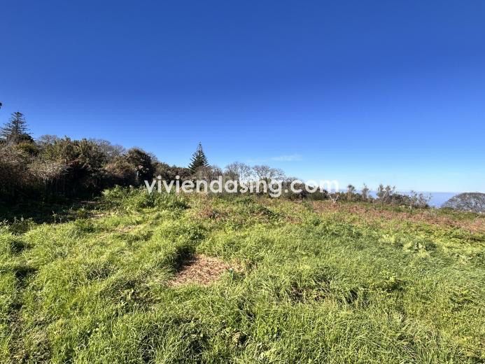 Foto ec137f6c-1e95-4efc-ba54-c638c920fdf0. Finca rústica a Tacoronte - los naranjeros Tacoronte