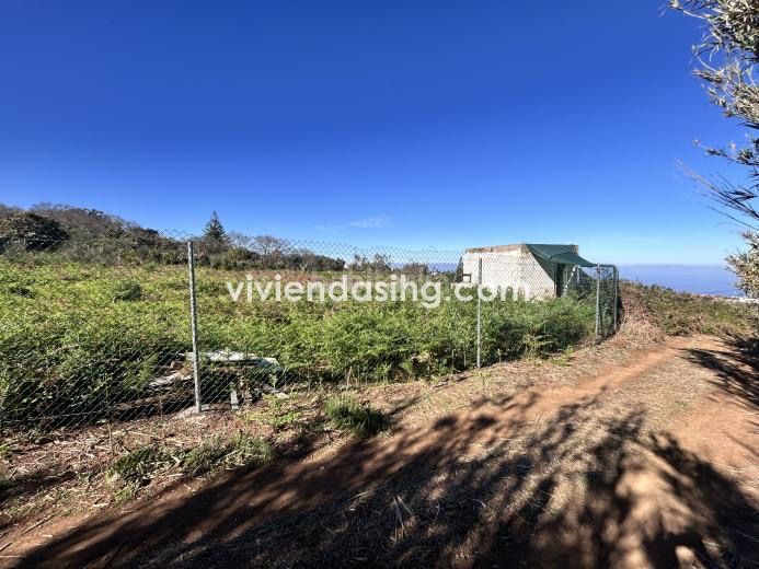 Foto f1716116-e89e-43b9-a801-bf154bc2538e. Finca rústica a Tacoronte - los naranjeros Tacoronte