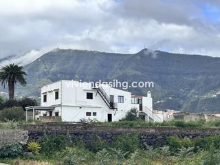 Rent House  Calle el castillo 34