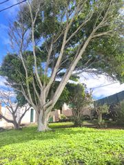 Chalet à Calle antoñita melian 8