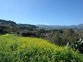 Residential Plot in Camino de las rochas 21