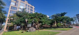 Appartement en Calle venegas 6