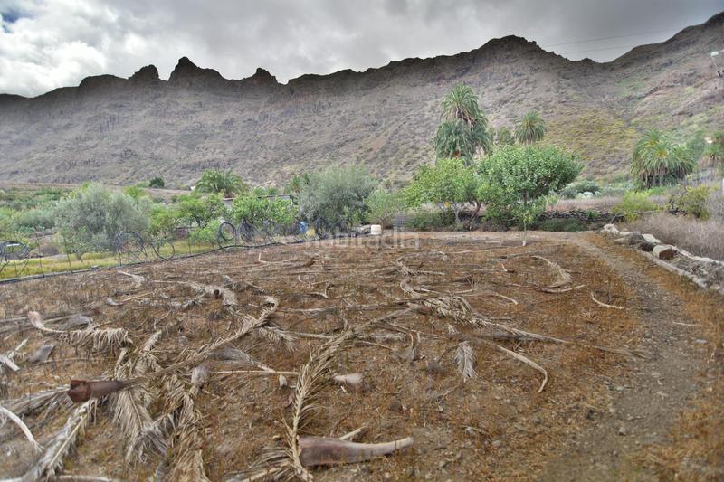 Foto 4fa9ff62-1470-4e92-b0f7-6ef8feb6381c. House in San Bartolomé Interior San Bartolomé de Tirajana